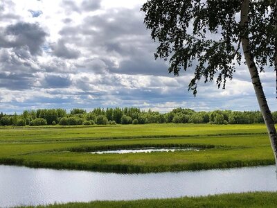 Многофункциональный Лесной Комплекс Ягом
